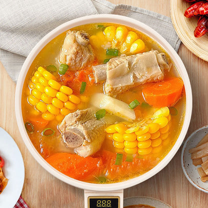 Multifunctional Mini Electric Cooker with Steamer